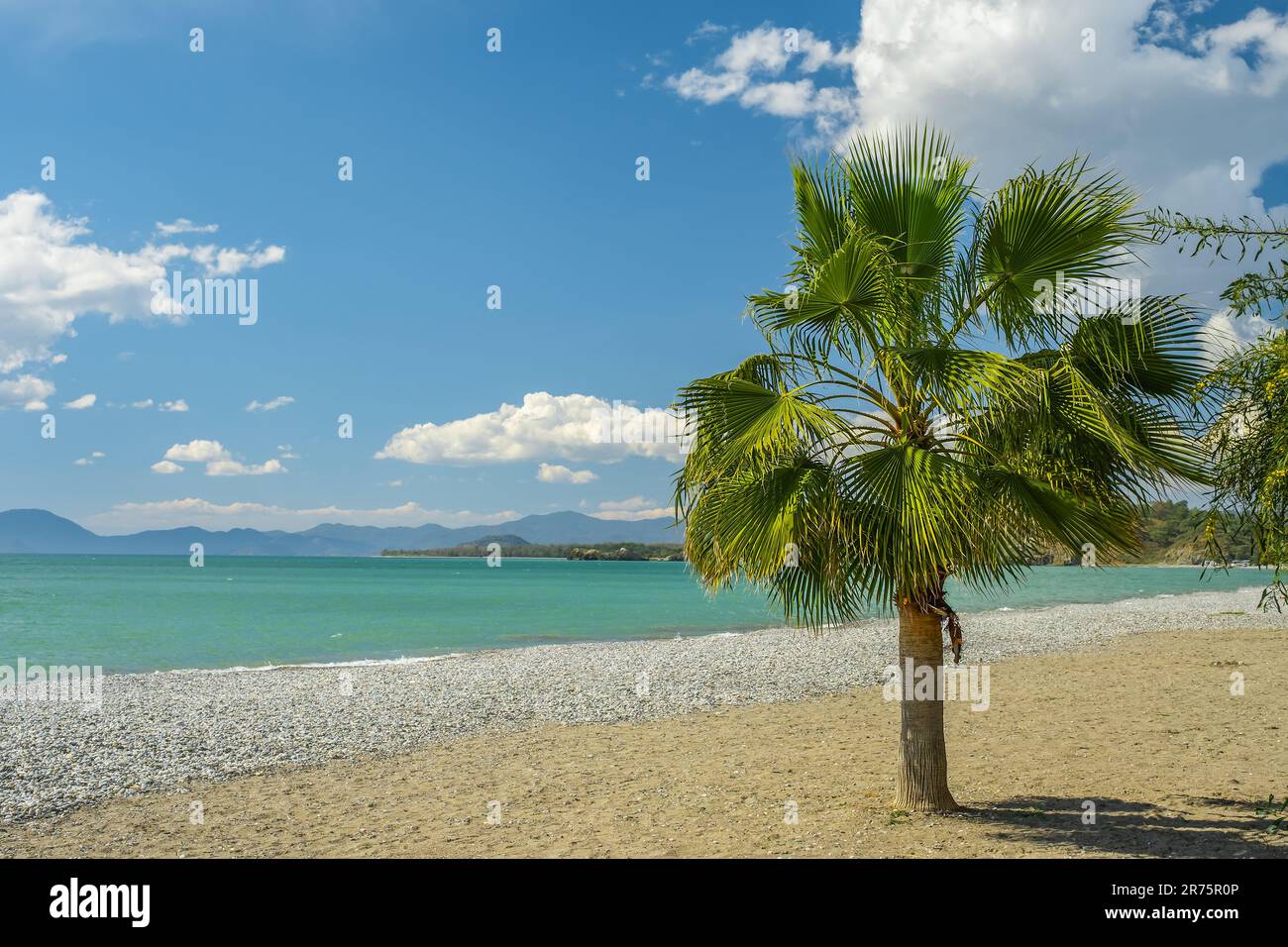 Palme am Himmel mit Wolken, Strand am Ägäischen Meer, Reisezeit, Postkarte im Hintergrund und Platz für Text Stockfoto