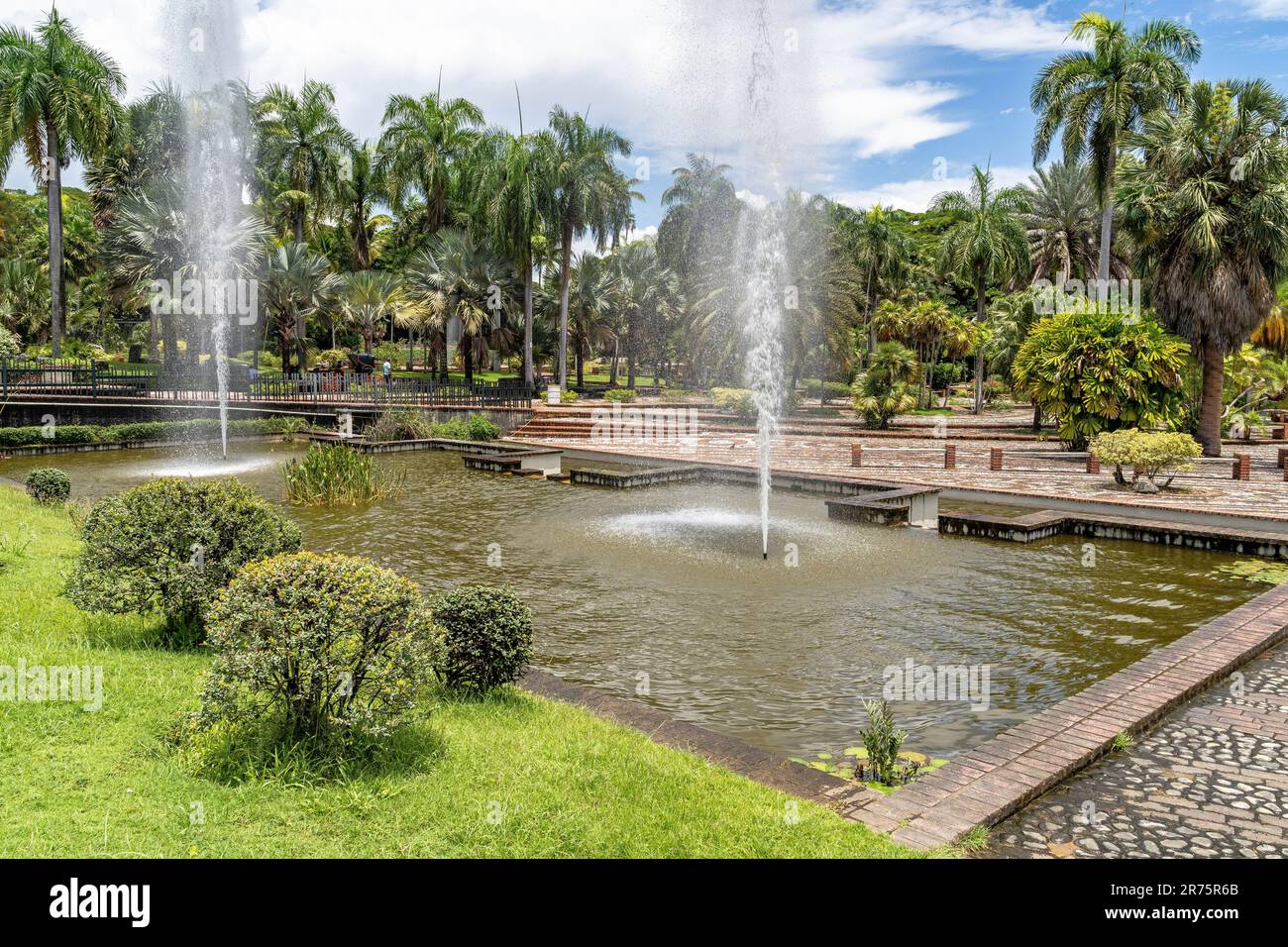 Nordamerika, Karibik, Großantillen, Hispaniola, Dominikanische Republik, Santo Domingo, Botanischer Garten in Santo Domingo Stockfoto