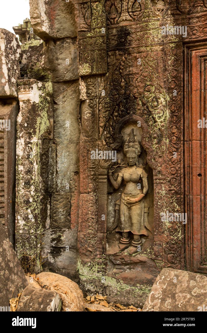 Der TA Prohm Komplex wurde von Jayavarman VII als buddhistisches Kloster erbaut. Der Tempel ist berühmt für seine spektakulären Tempel, die mit Würgerfeigen überwuchert sind. Stockfoto