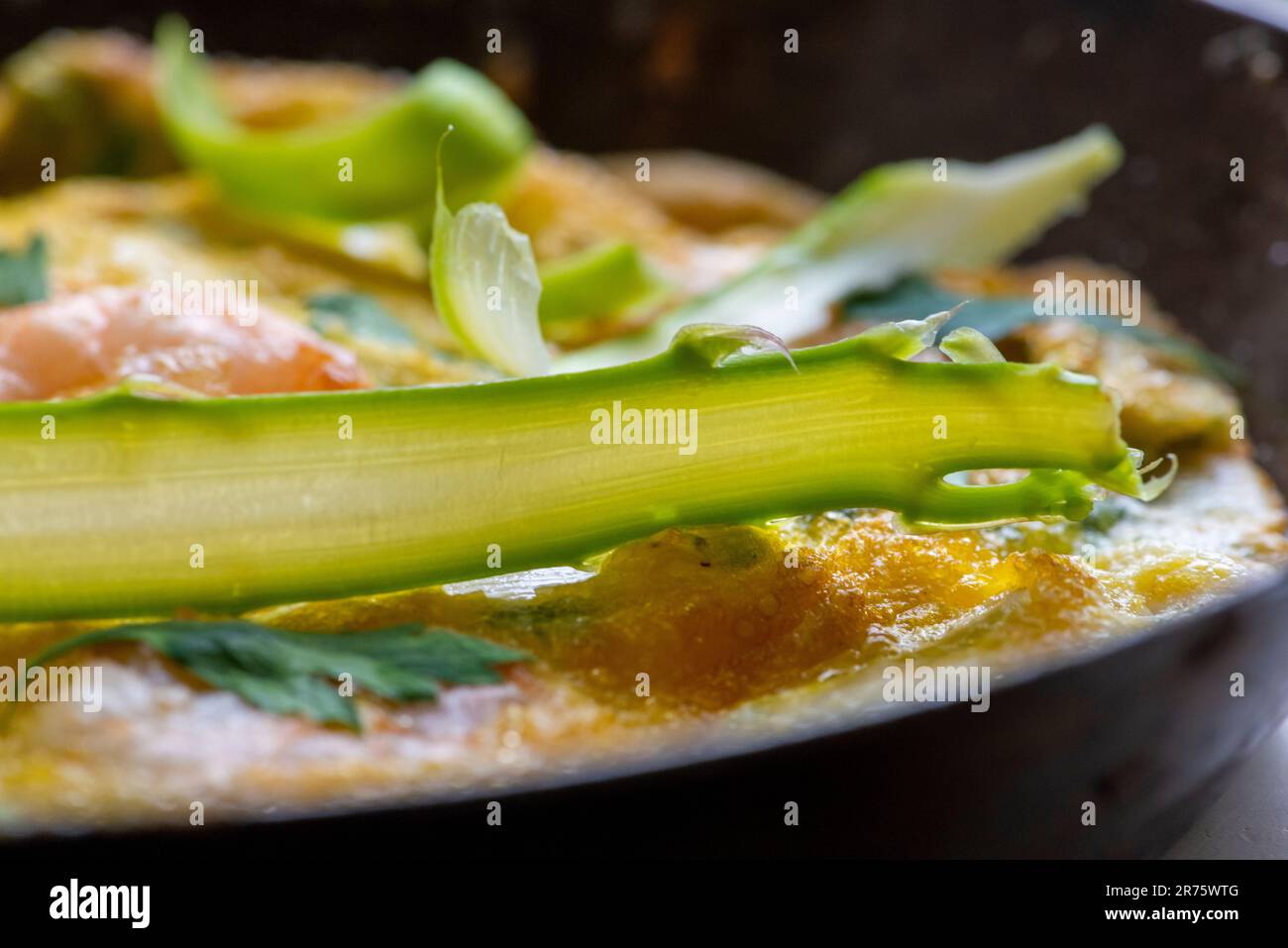 Thomas salsa -Fotos und -Bildmaterial in hoher Auflösung – Alamy