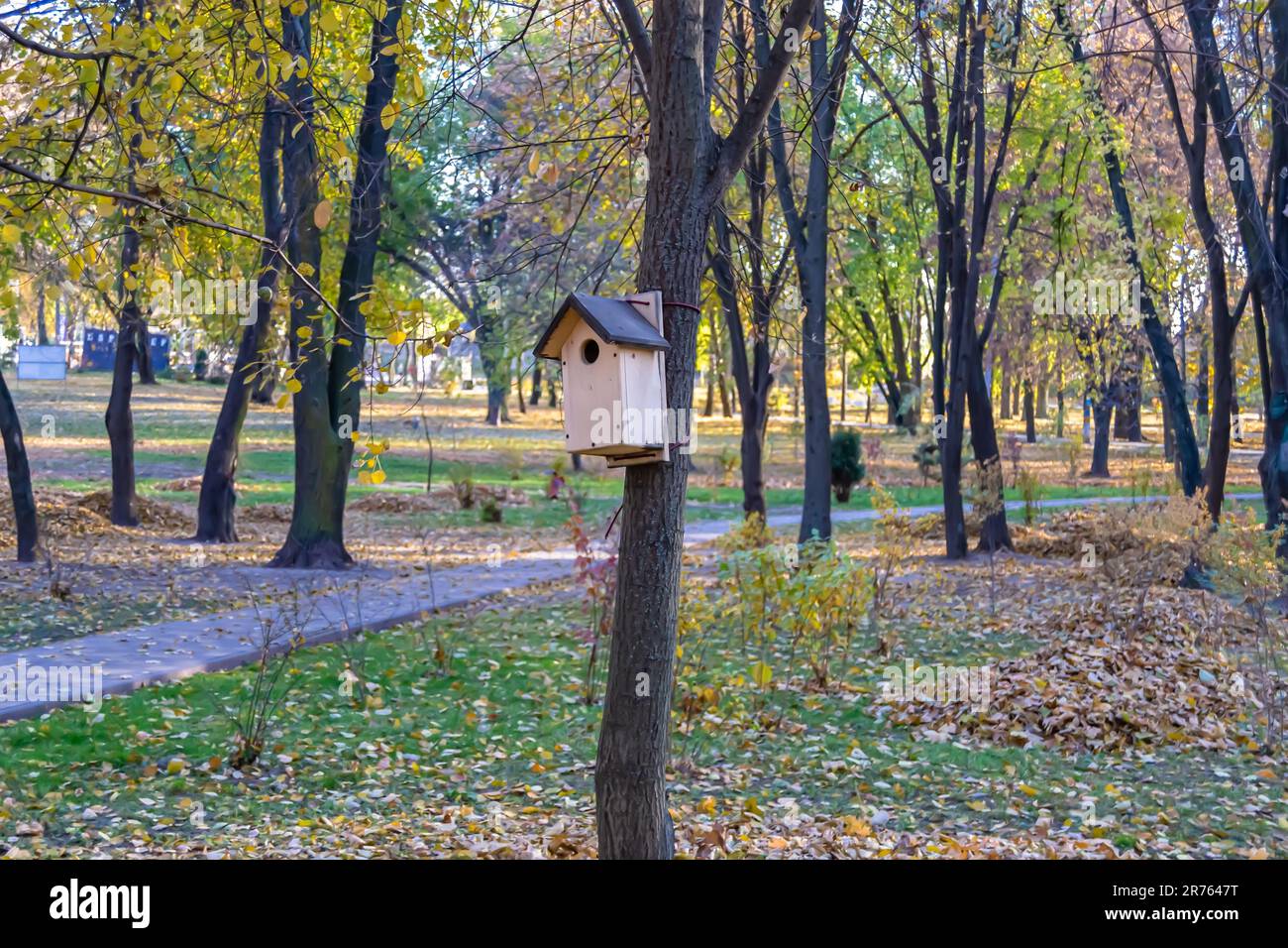 Fotografie zum Thema leeres hängendes Vogelhaus zu natürlichem Waldbaum, Foto bestehend aus leerem flachem Vogelhaus auf Laubbaum, wunderschönes leeres Vogelhäuschen Stockfoto