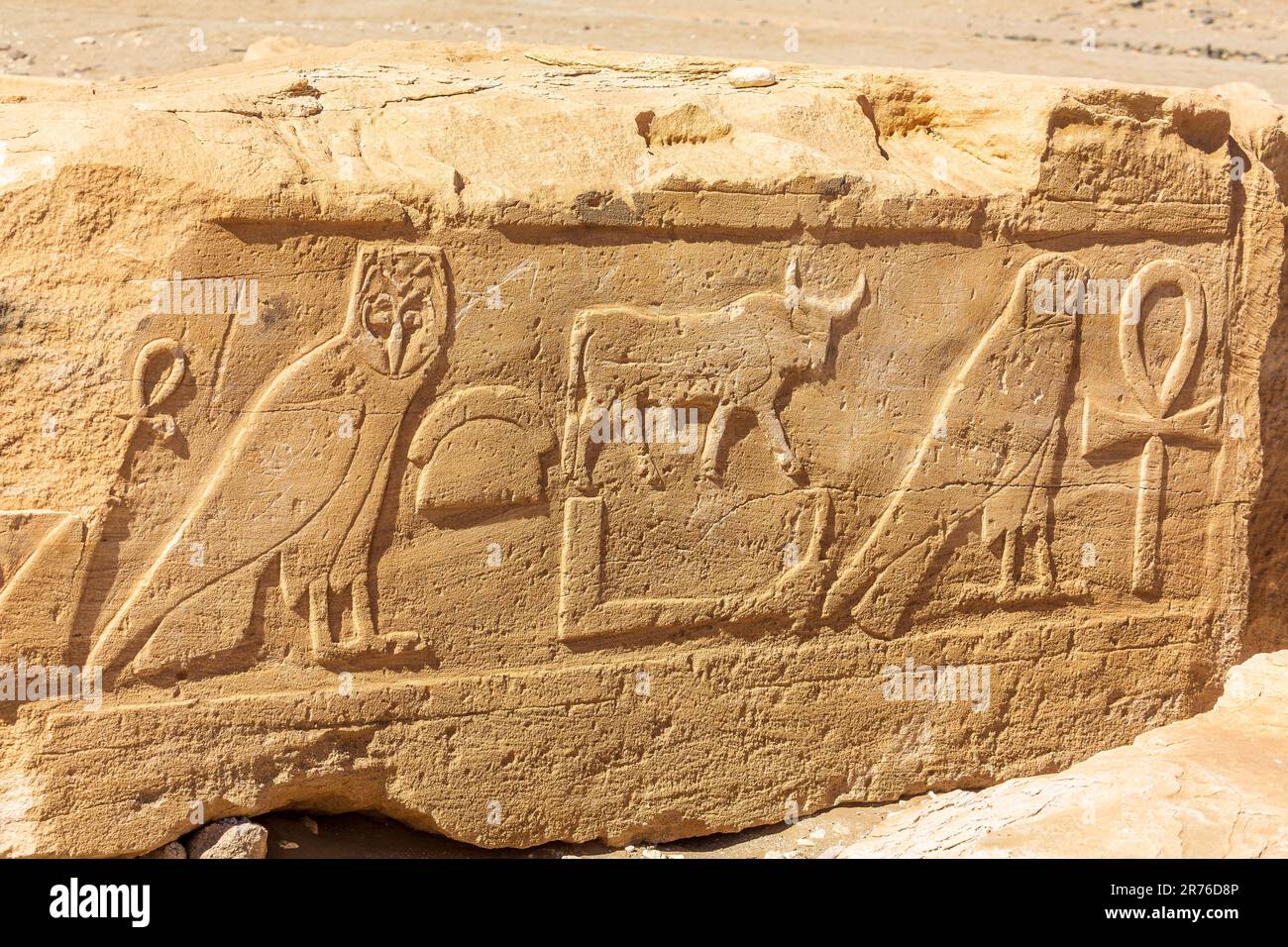 Details eines riesigen kunstvoll geschnitzten Steins in den Ruinen des soleb-Tempels am Westufer des oberen nils im sudan, erbaut im mittleren Königreich Stockfoto