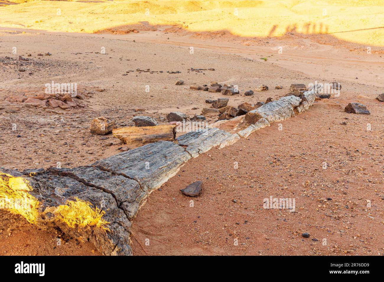 Der ganze versteinerte Baumstamm liegt halb in der Wüste im sudan in der Nähe der barkal-Pyramiden in karima begraben Stockfoto