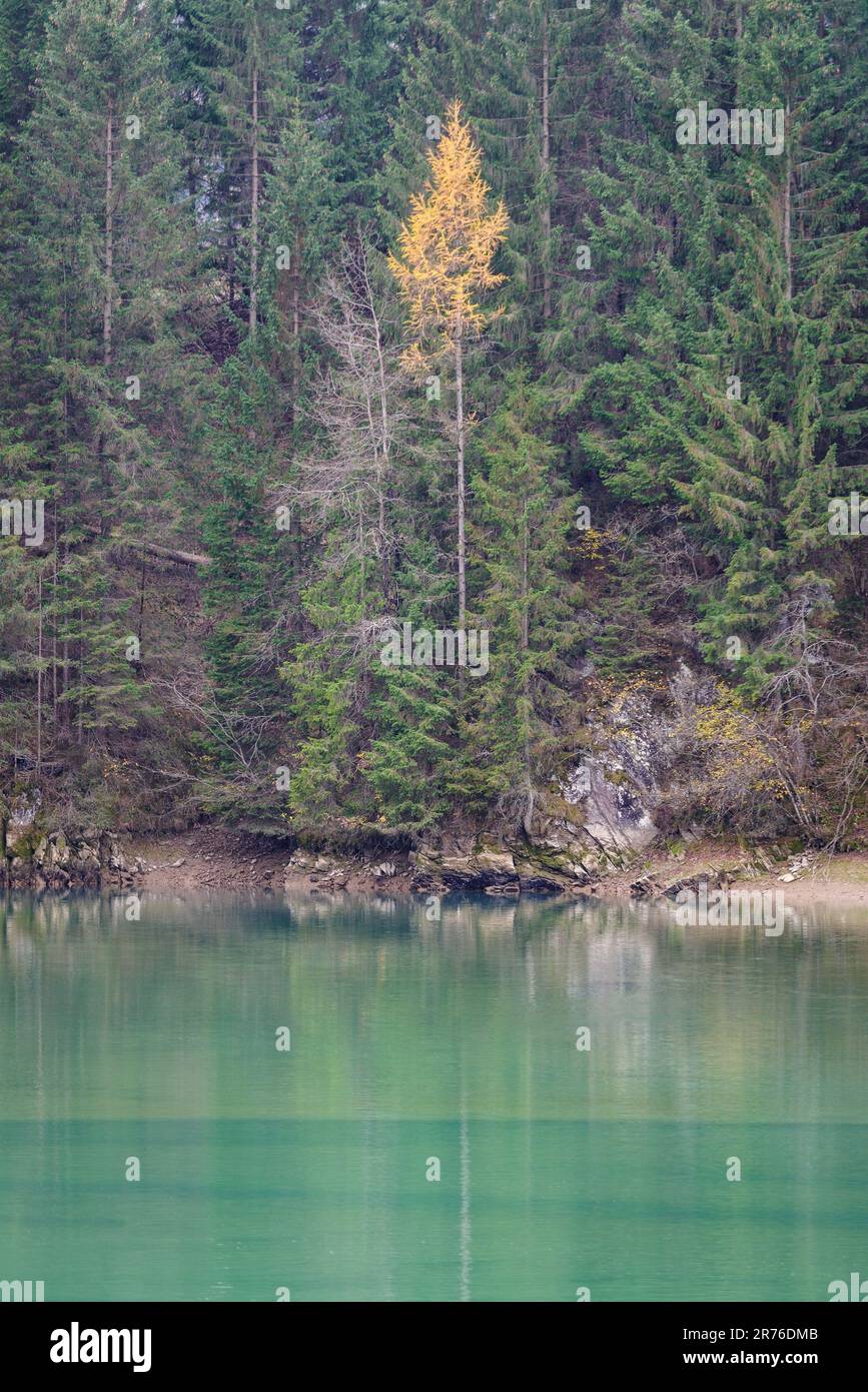 Künstlicher See von Soraga, Fassa-Tal, Trentino Alto Adige, Italien Stockfoto