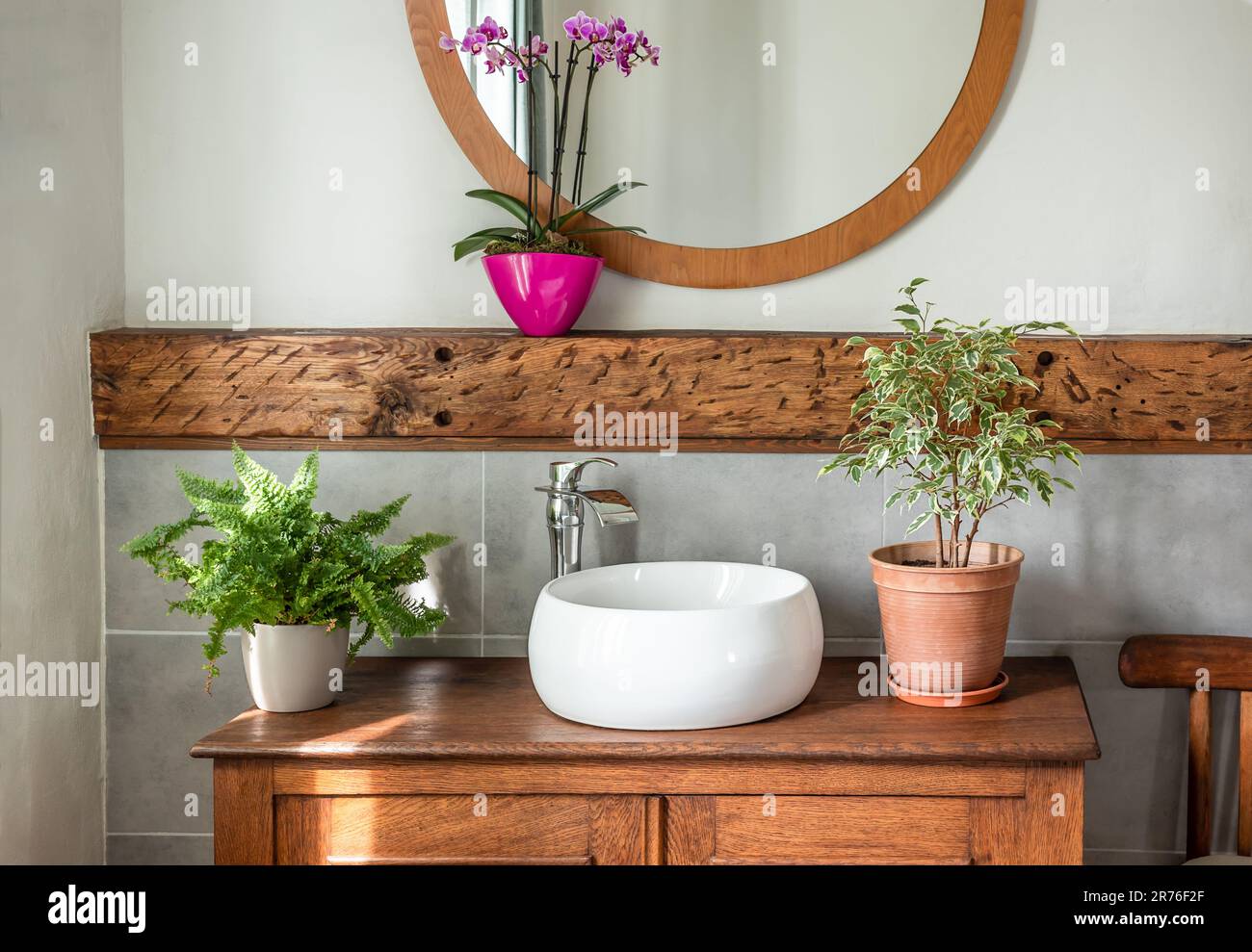 Zimmerpflanzen im Badezimmer mit modernen Armaturen und rustikalen Elementen Stockfoto