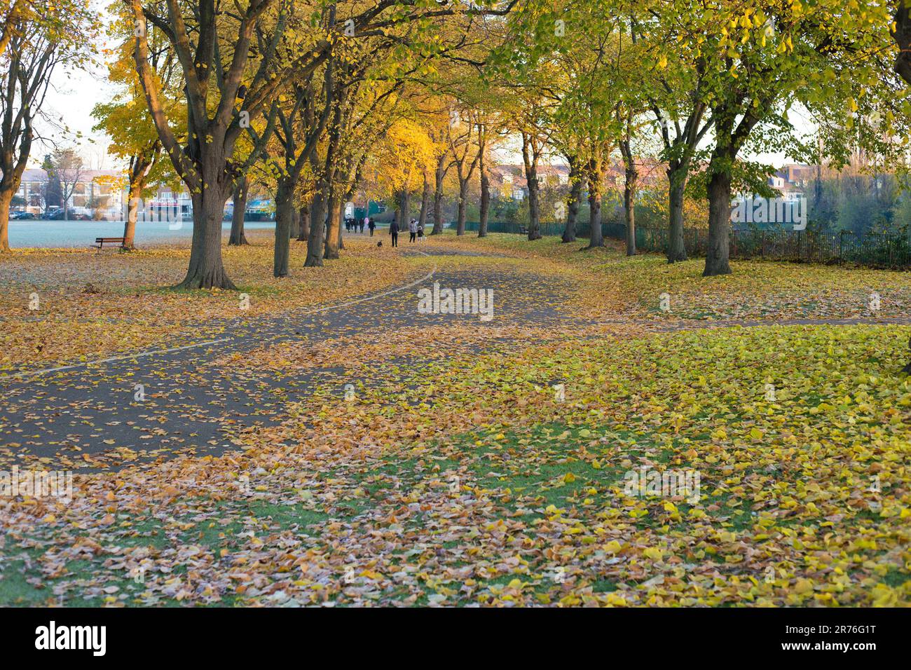 In Ilford im Osten Londons ist morgens ein Park mit Herbstfarbe teilweise frostig zu sehen. Stockfoto