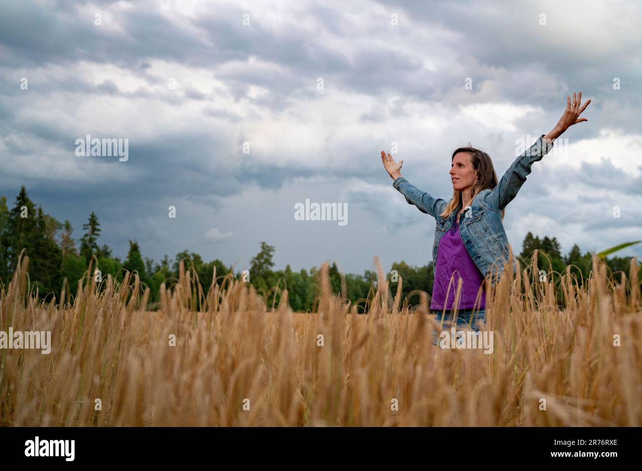Junge Frau mit einem reservierten, besorgten Gesichtsausdruck, die mitten im goldenen Weizenfeld stand, mit ihren Armen weit gestreut in einem konzeptionellen Bild Stockfoto