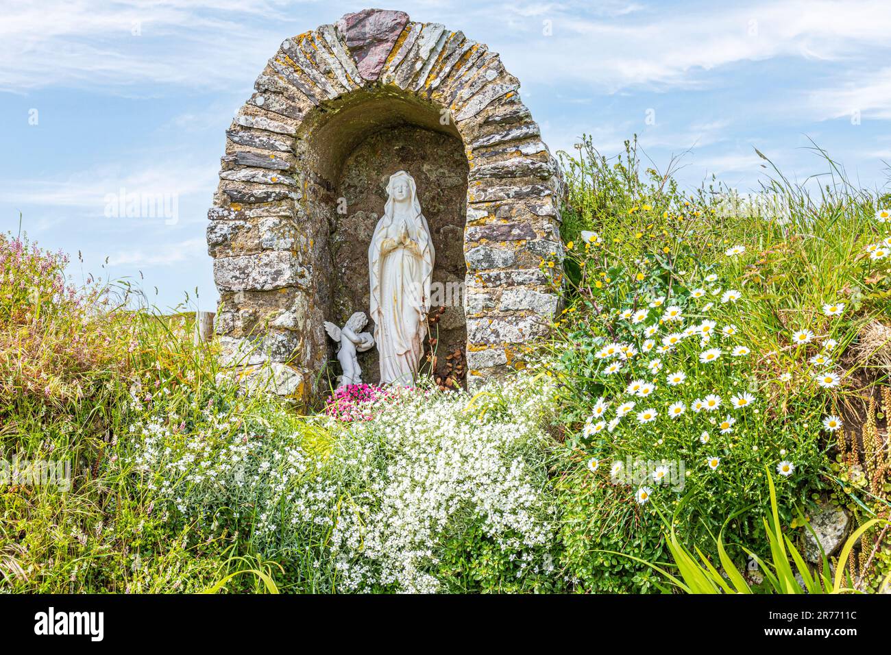 Blumen wachsen neben dem Schrein am St.-Non-Brunnen, einem heiligen Brunnen und Schrein, der der Mutter des Heiligen Davids gewidmet ist, an der St.-Non-Bucht am St.-David-Peni Stockfoto