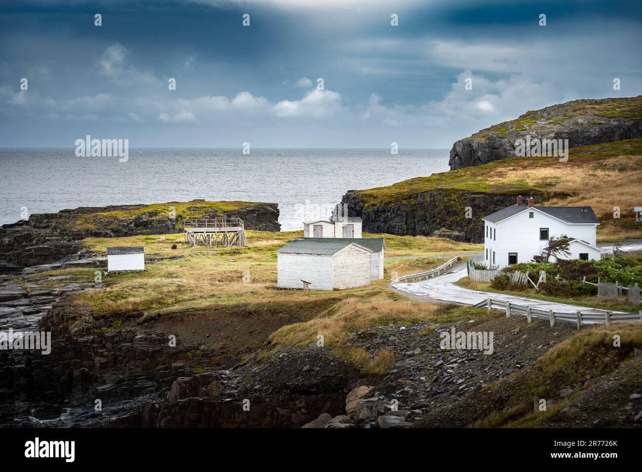 Häuser und Gebäude an der Ostküste mit Kabeljau-Trocknerregalen auf einer grünen Halbinsel in der Nähe von Elliston Newfoundland Canada. Stockfoto