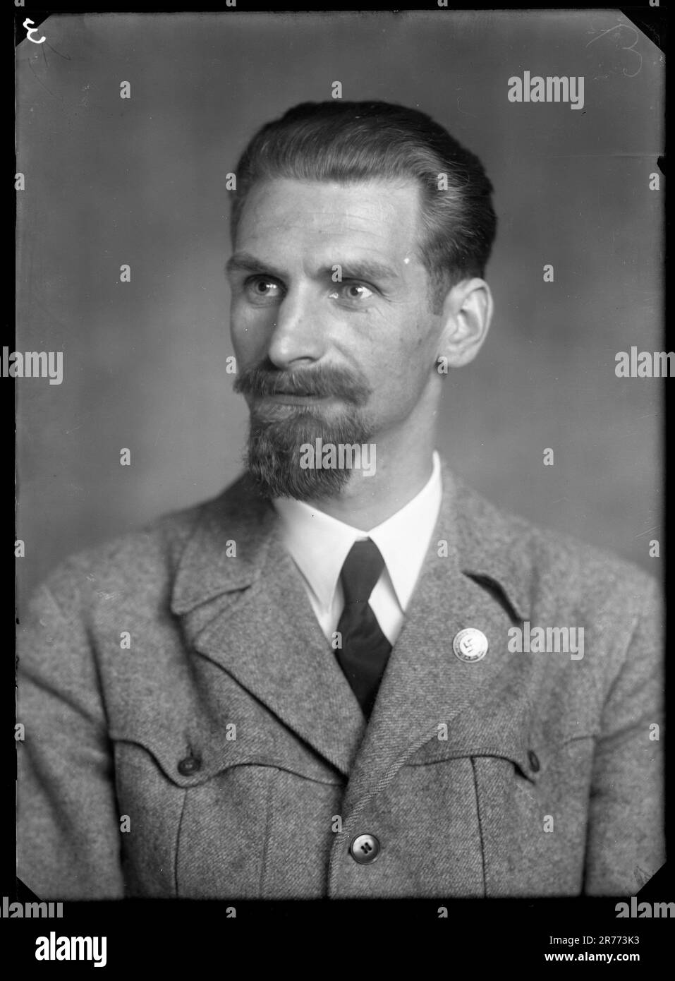Portrait eines nicht identifizierten Mitglieds der NSDAP (National Socialist German Workers' Party) Stockfoto