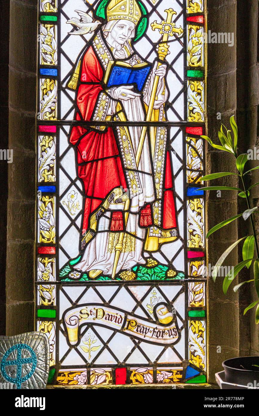Buntglasfenster, das St. David in der Kapelle unserer Frau und St. Non an der St Non's Bay auf der Halbinsel St. David in der Pembrokeshire Coast Na darstellt Stockfoto