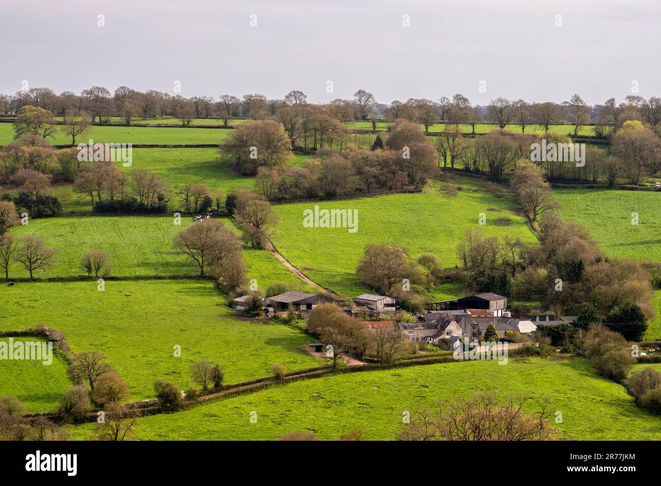 Die Frühlingssonne fällt auf ein Bauernhaus und einen Scheunenhof inmitten der Felder und Bäume des Culm Valley in den Blackdown Hills von Mid Devon. Stockfoto
