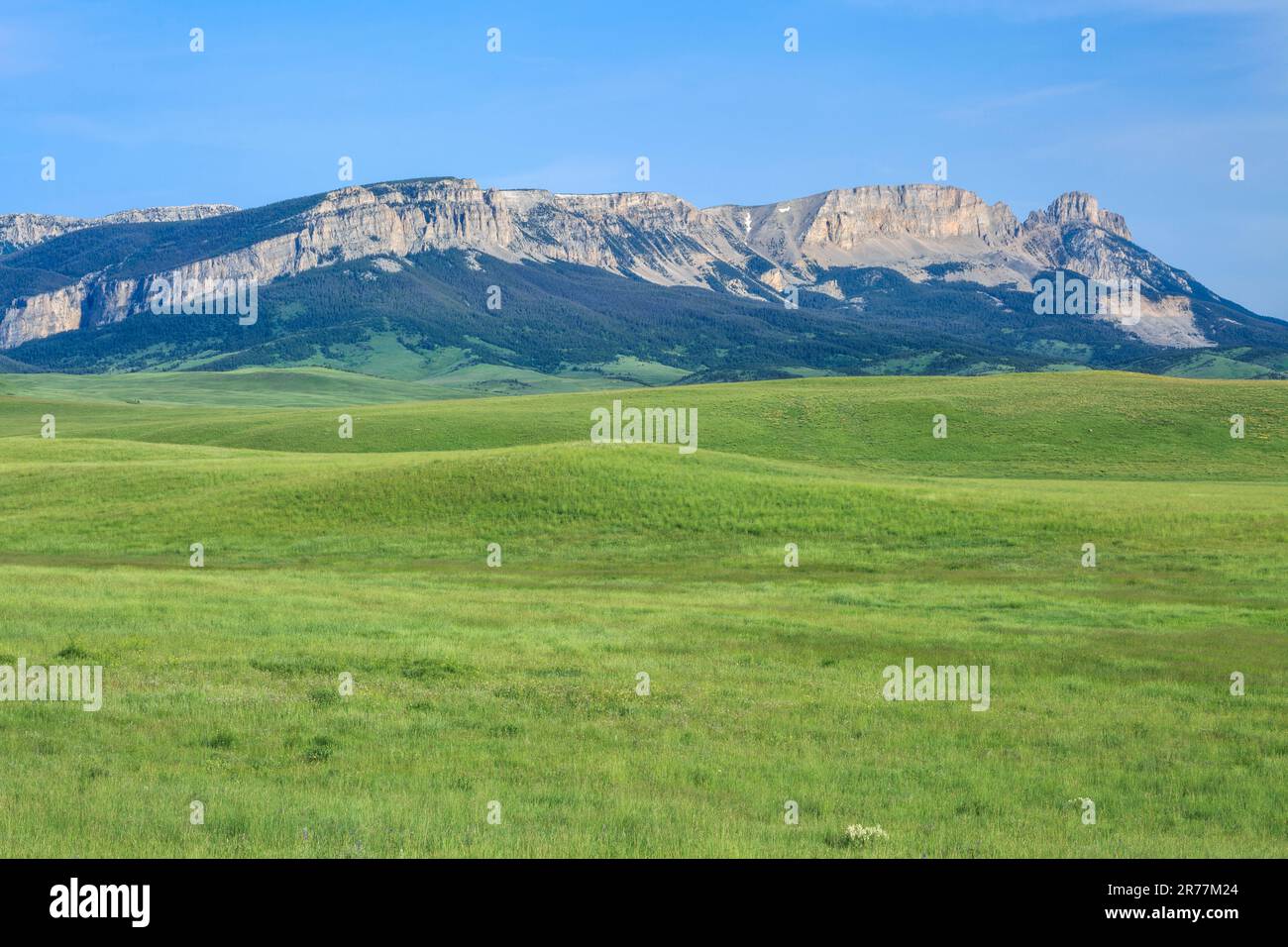 Sägezahnkamm über der Prärie bei augusta, montana Stockfoto