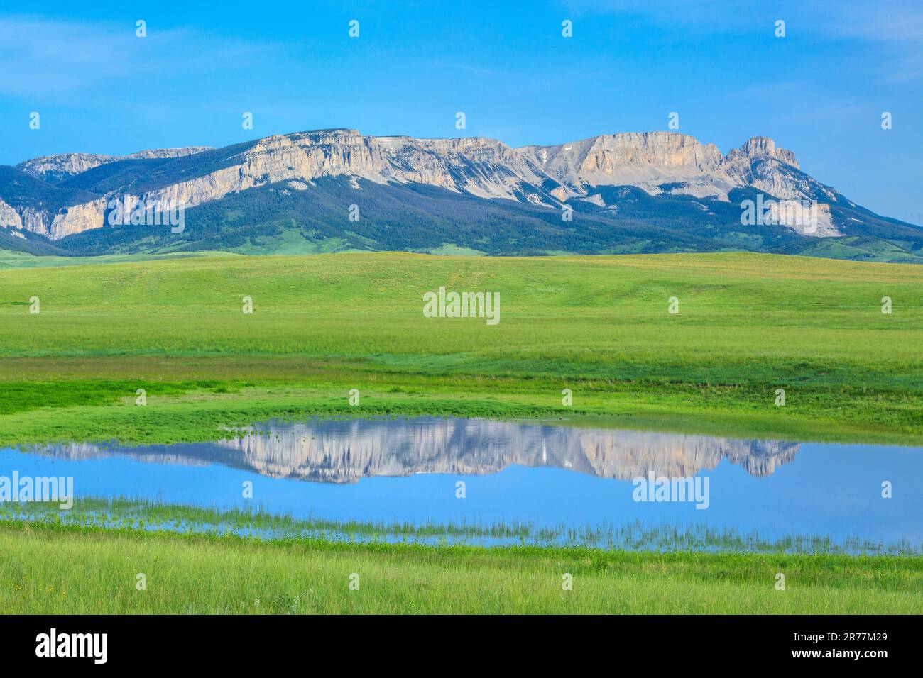 Der Sägezahnkamm spiegelt sich in einem Prärieteich bei augusta, montana Stockfoto
