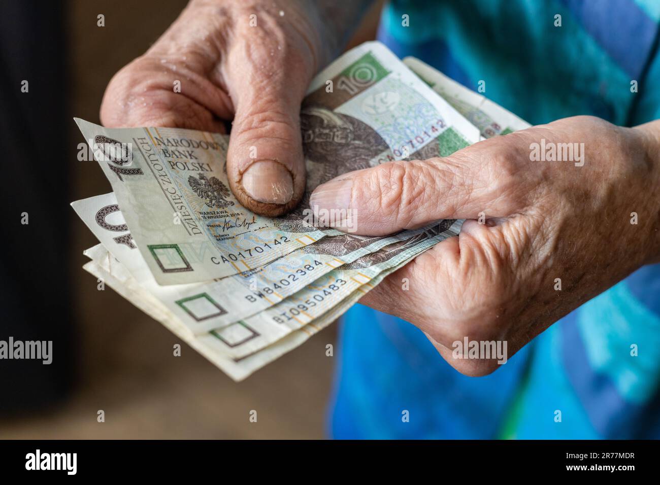 Die polnische Rentnerin hält mehrere Banknoten niedriger Stückelung in ihren Händen, die Lebenshaltungskosten eines Senioren in Polen, Geld polnischer Zloty, finanzielle CO Stockfoto