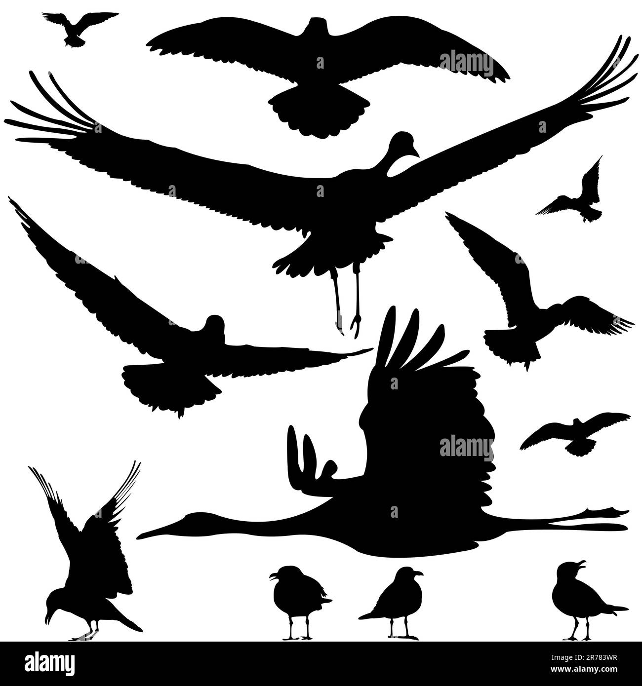 Vogelsilhouetten isoliert auf weißer, abstrakter Kunstdarstellung Stock Vektor