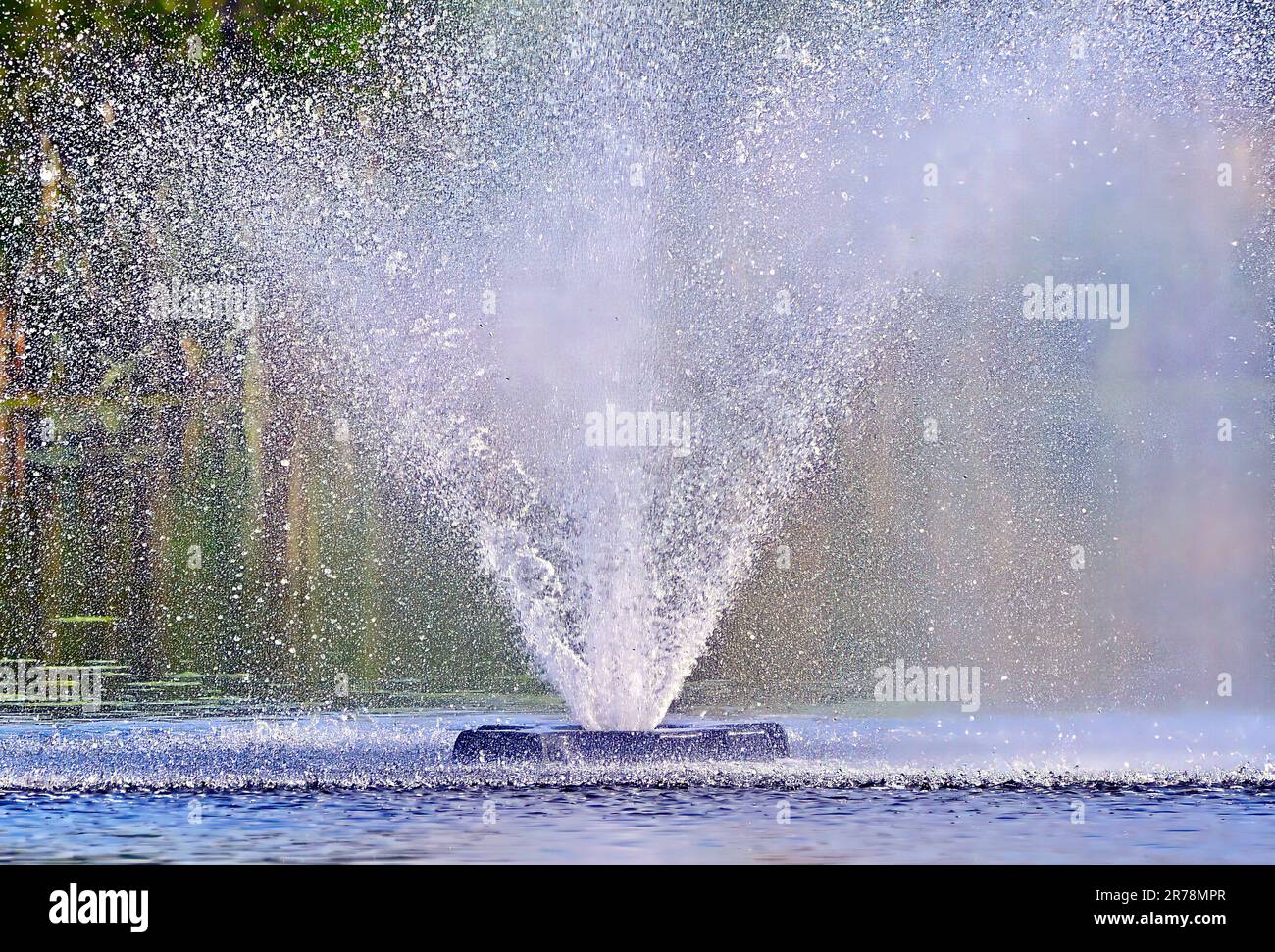 Ein Springbrunnen sprüht Wasser in einem Teich in der Nähe von Edmonton, Alberta, Kanada Stockfoto
