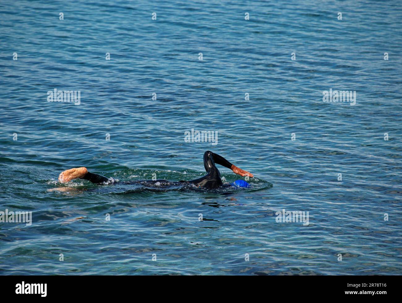 Männlicher Marathonschwimmer in Aktion während des Trainings Stockfoto