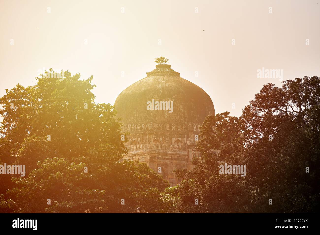 Kuppel des Shish Gumbad Grabes im New Delhi Lodhi Garten, Indien, antikes indisches Baugrab von Shisha Gumbad Mischung aus islamischer und indischer Architektur, o Stockfoto