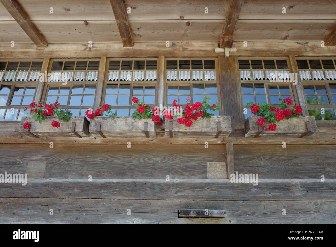 Historisches Holzhaus im Schwarzwald mit roten Blumen in den Fenstern Stockfoto