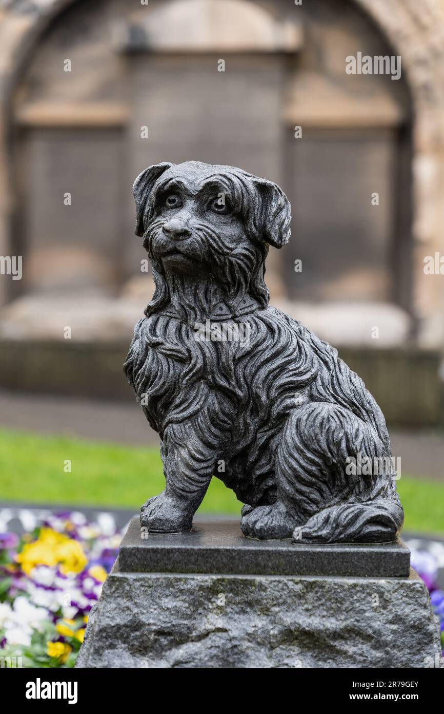 Die Greyfriars Bobby Statue in Edinburgh, Schottland, Großbritannien. Bronzeskulptur für einen treuen Hund, der lange Jahre am Grab seines Besitzers verbrachte und nur bei o abfuhr Stockfoto
