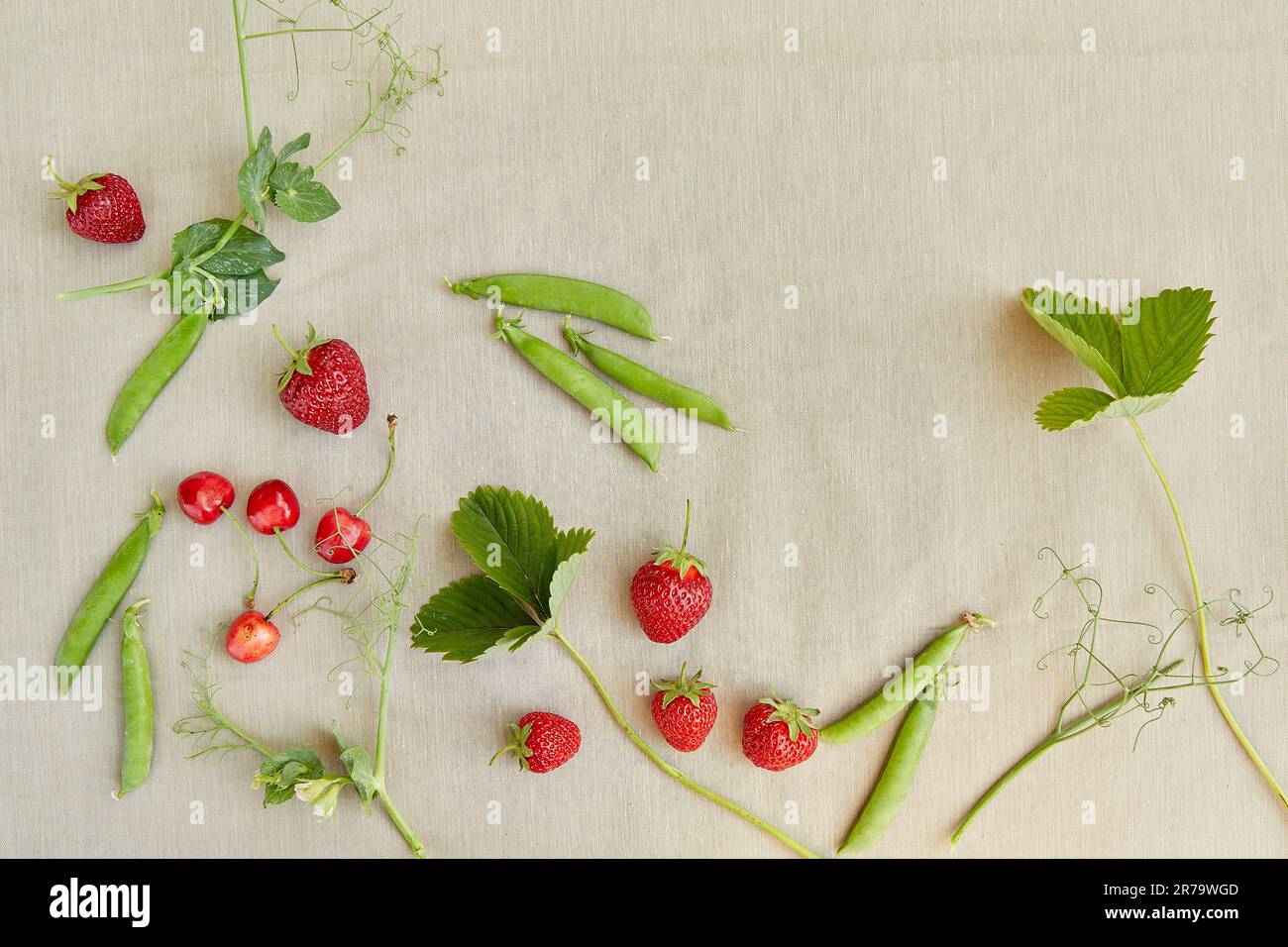 Sommerfrüchte Erdbeeren, Kirsche, Erbsen und Kamillenfrüchte, Draufsicht. Ästhetik Cottagecore, naturecore Lebensstil. Stockfoto