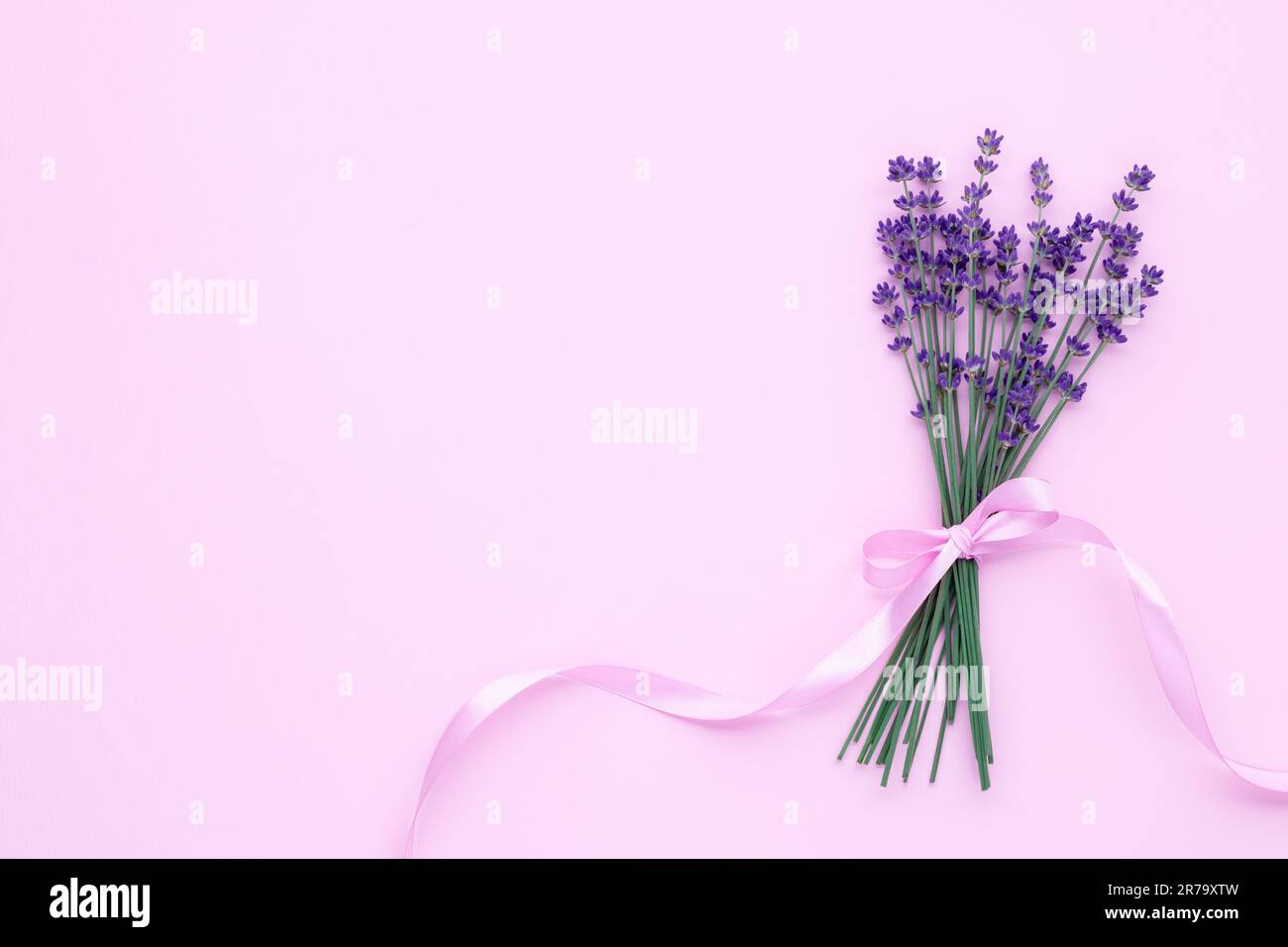 Lavendelstrauß mit Band auf pinkfarbenem Papierhintergrund, Tischansicht. Frische Blumen blühen. Aromatherapiekonzept. Flach liegend, Kopierbereich. Su Stockfoto