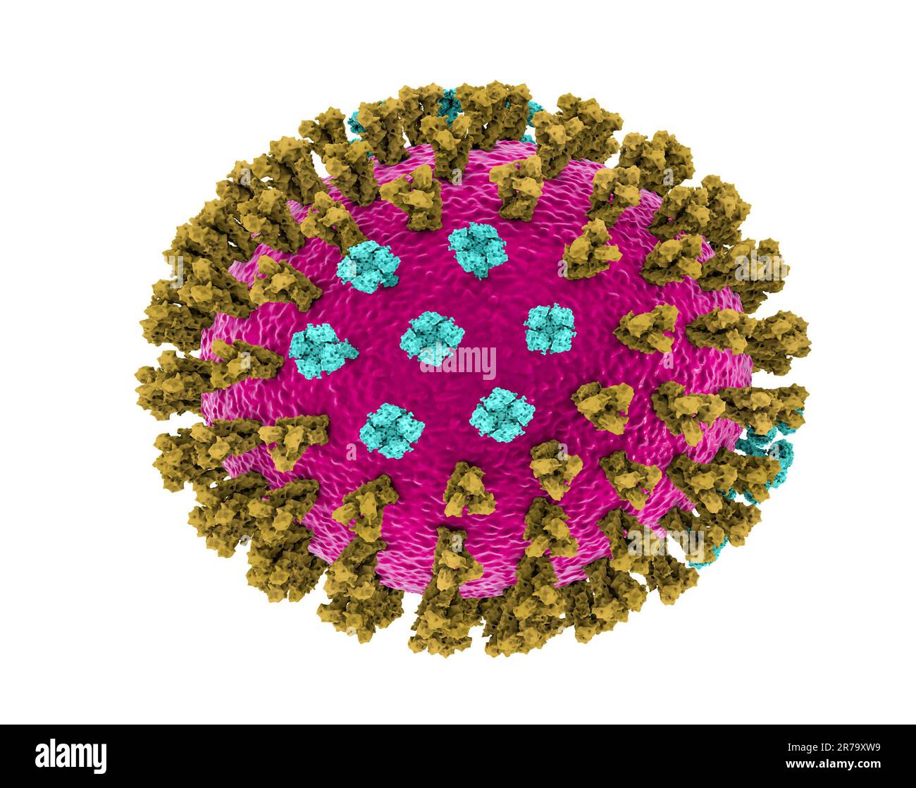 Grippevirus, Michigan Belastung. 3D-Abbildung: surface Glycoprotein spikes Hämagglutinin und Neuraminidase grün blau Stockfoto