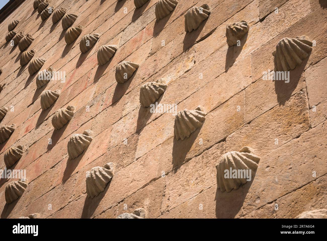 Haus der Muscheln Salamanca, Detail der Muscheldekoration an der Außenseite der Casa de las Conchas aus der Renaissance, Stadt Salamanca, Spanien. Stockfoto