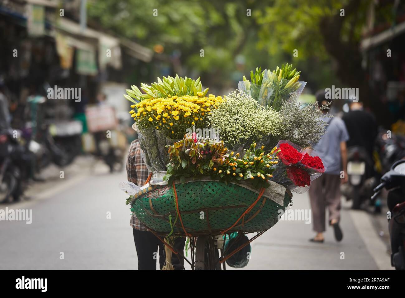 Rückansicht des Straßenblumenverkäufers auf dem Fahrrad in der Altstadt von Hanoi, Vietnam. Stockfoto