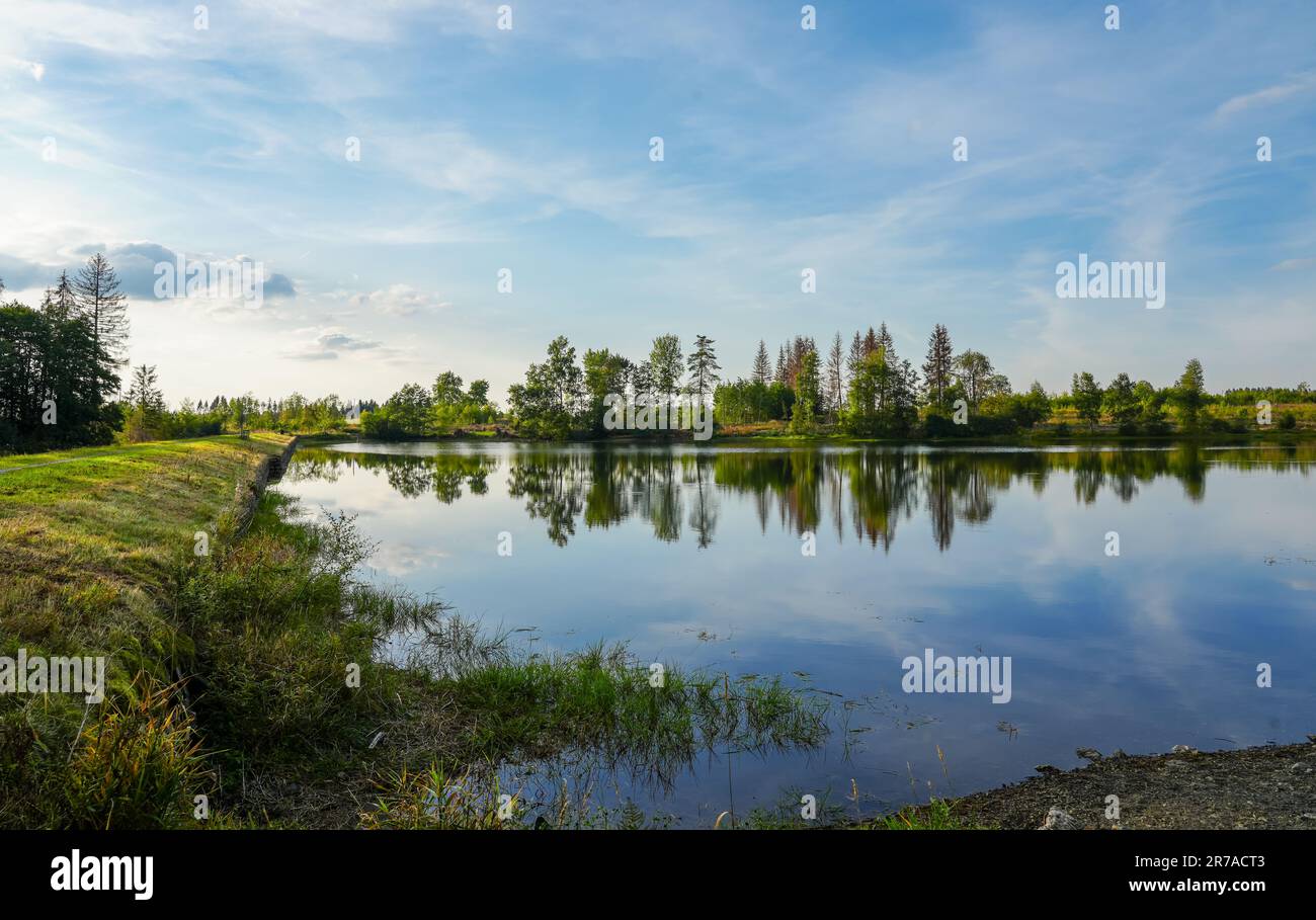 Natur am oberen Nassenwieser Teich im HarzGebirge. Blick auf den Teich