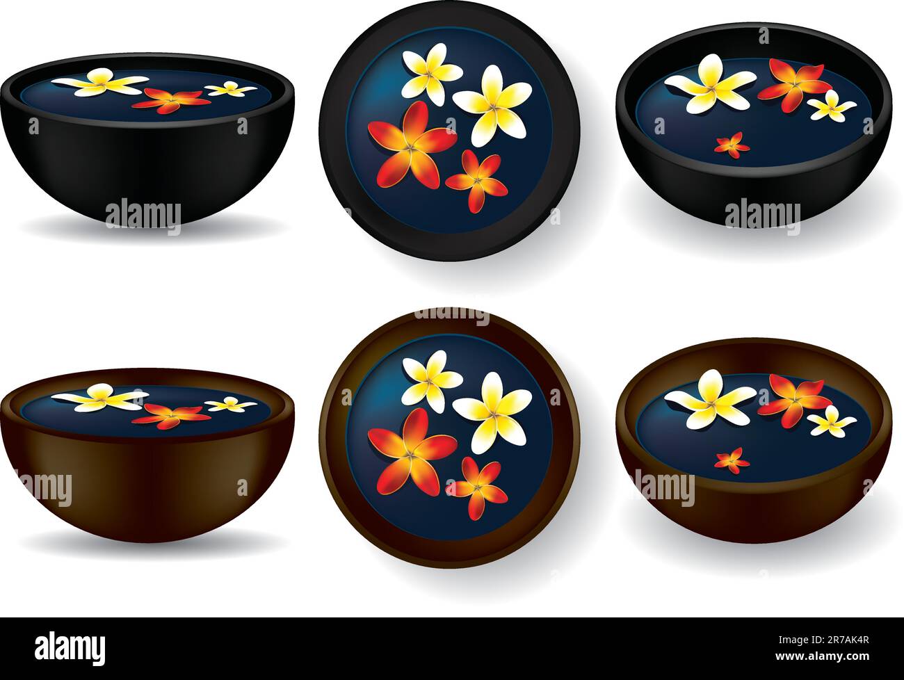 Spa-Schüsseln mit Frangipani-Blumen - Vektorbild Stock Vektor