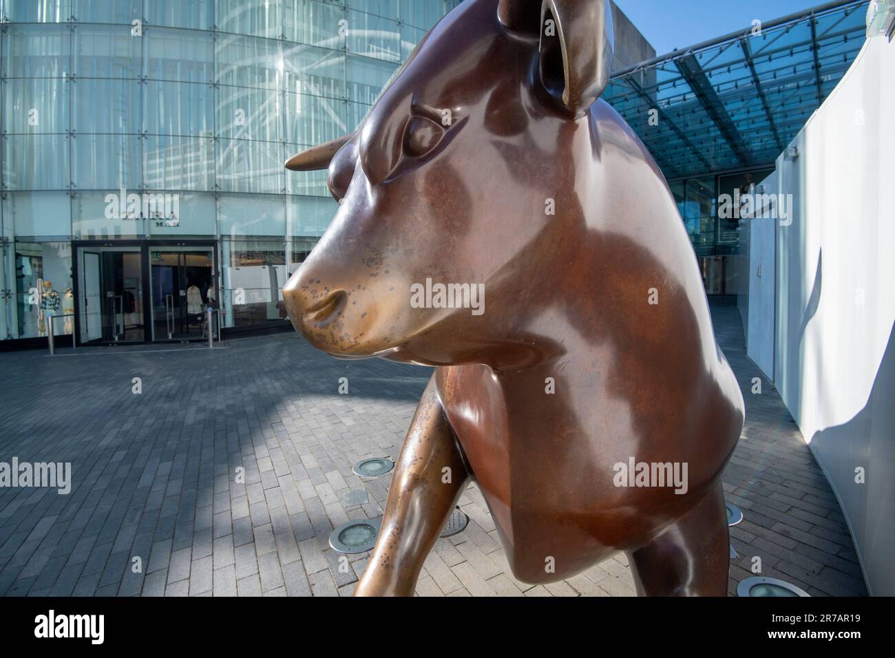 Stier Skulptur an der Stierkampfarena in Birmingham, West Midlands, England, Großbritannien Stockfoto