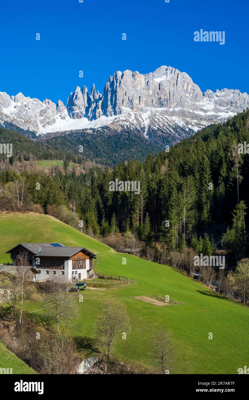 Malerischer Blick über das Tierser-Tal mit Rosengarten (Catinaccio) im Hintergrund, Dolomiten, Tiers-Reifen, Trentino-Alto Adige/Sud Tirol, Italien Stockfoto