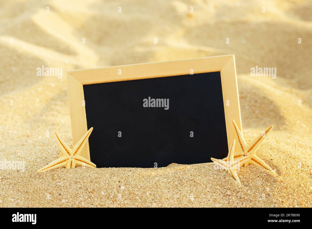 Foto Rahmen auf Muscheln und Sand Hintergrund. Kopieren Sie Platz. Stockfoto