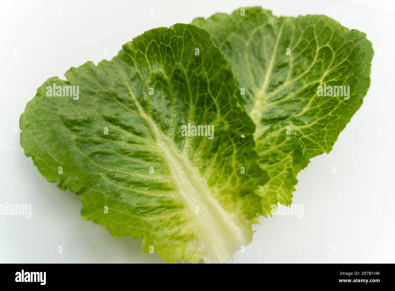 Rumänischer Bio-Salat auf weißem Hintergrund Stockfoto
