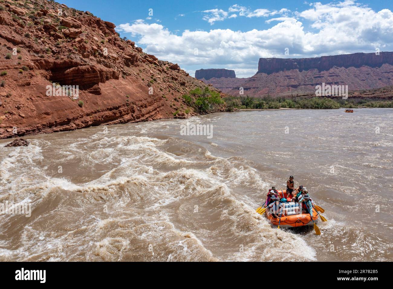 Touristen genießen eine Rafting-Tour durch die großen Wellen in White's Rapid auf dem Colorado River im Hochwasser. Moab, Utah. Stockfoto
