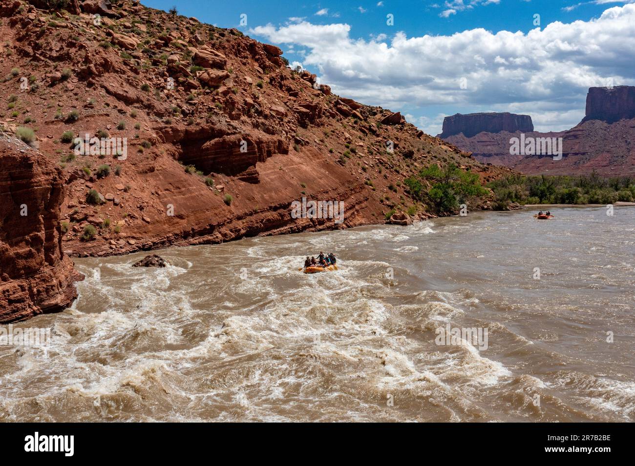 Touristen genießen eine Rafting-Tour durch die großen Wellen in White's Rapid auf dem Colorado River im Hochwasser. Moab, Utah. Stockfoto