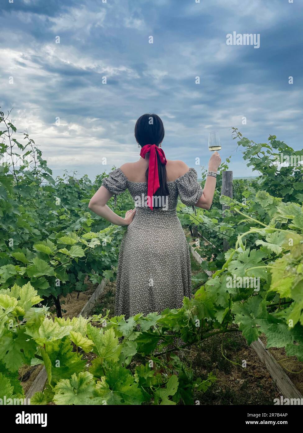Eine junge Frau mit einer wunderschönen Figur im langen Kleid steht mit einem Glas Champagner zurück und blickt auf den Horizont im Weingut. Weibliches dickes langes Haar wird gesammelt Stockfoto