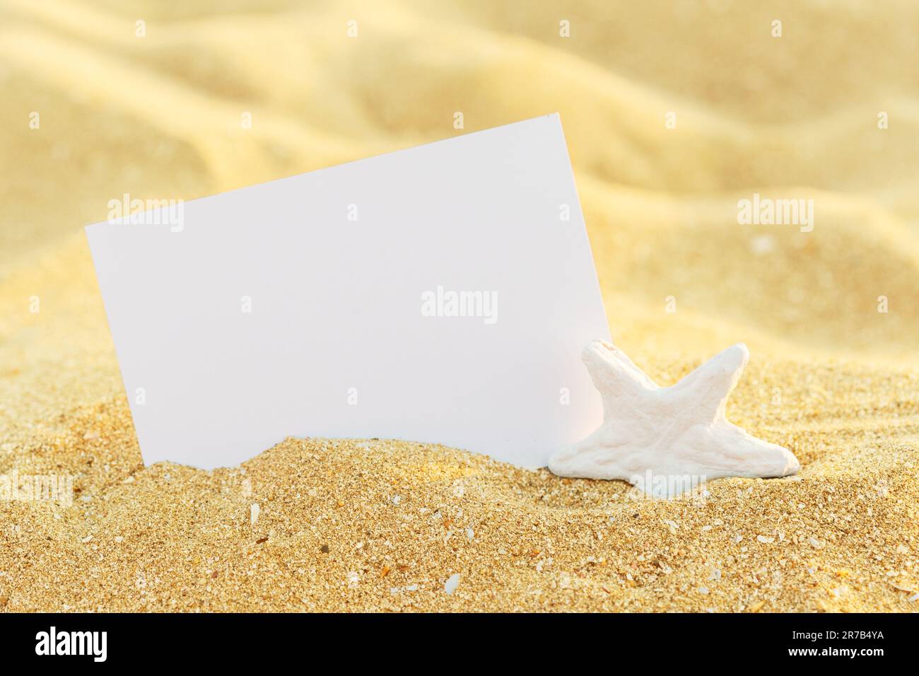 Foto Rahmen auf Muscheln und Sand Hintergrund. Kopieren Sie Platz. Stockfoto