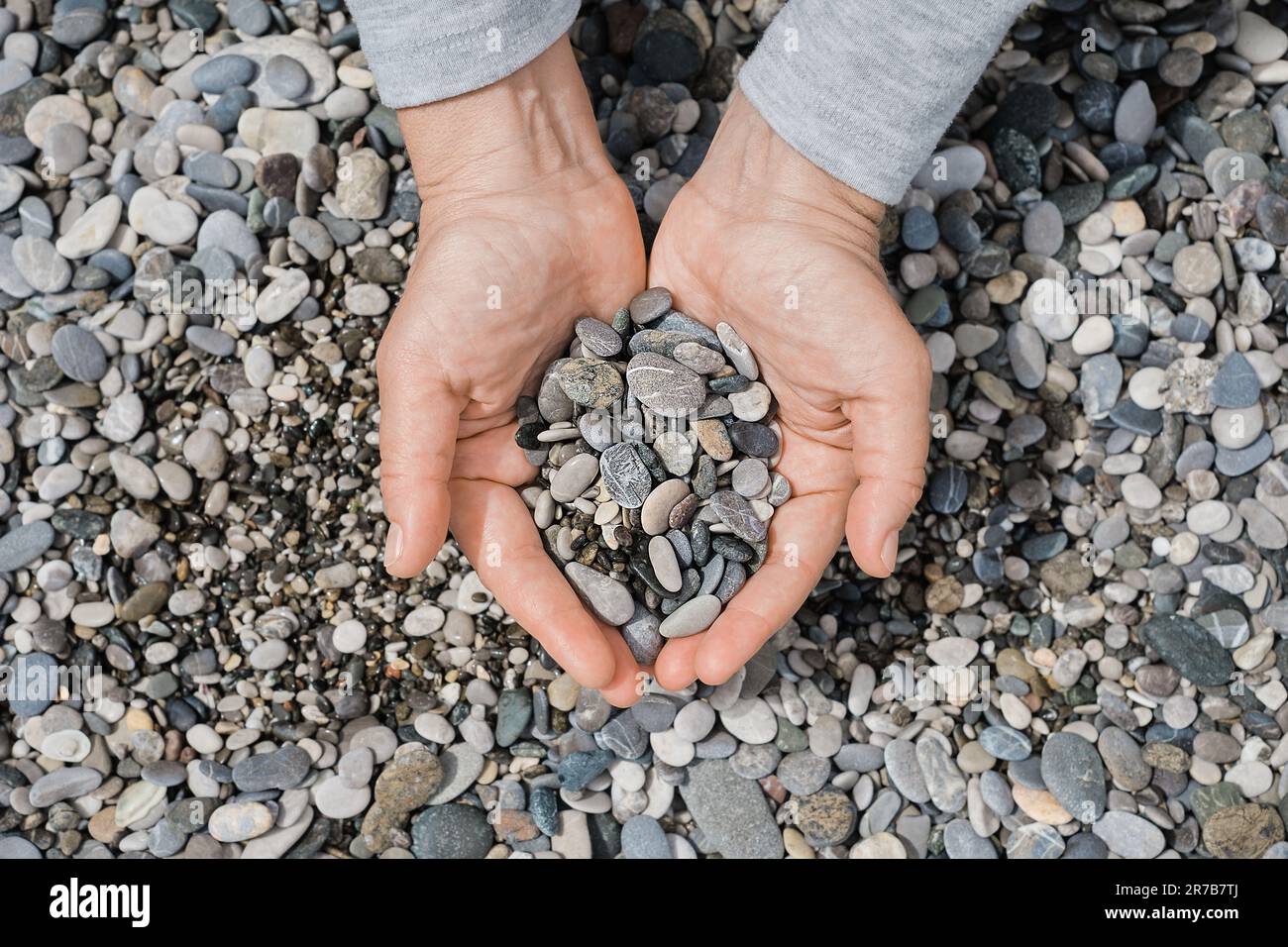 Frauenhände mit Seekies. Kieselsteinstrand aus nächster Nähe, dunkle runde Kieselsteine und graue trockene Kieselsteine, hochwertige Fotoidee für die Leinwand Stockfoto