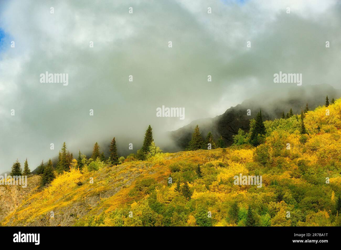 Wolkendecke, die sich über einen alaskischen Berg in Herbst bewegt, Girdwood Valley, AK Stockfoto