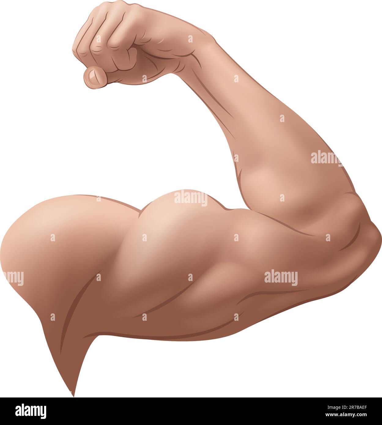Mannes Arm-Vektor-Illustration (mit Farbverlauf Maschen) Stock Vektor