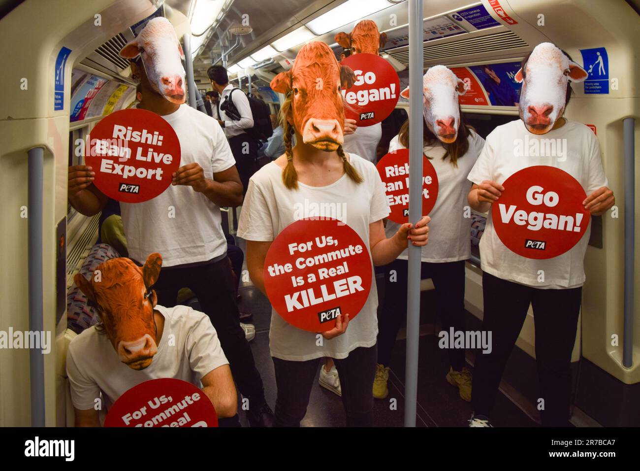 London, Großbritannien. 14. Juni 2023. PETA-Aktivisten (People for the Ethical Treatment of Animals), die Schaf- und Kuhmasken trugen und pro-vegane und Anti-Live-Exportplakate hielten, veranstalteten einen Protest in einem Londoner U-Bahn-Zug, in dem gefordert wurde, dass die britische Regierung das Gesetz über gehaltene Tiere wieder einführt und die Ausfuhr lebender Tiere verbietet. Kredit: SOPA Images Limited/Alamy Live News Stockfoto