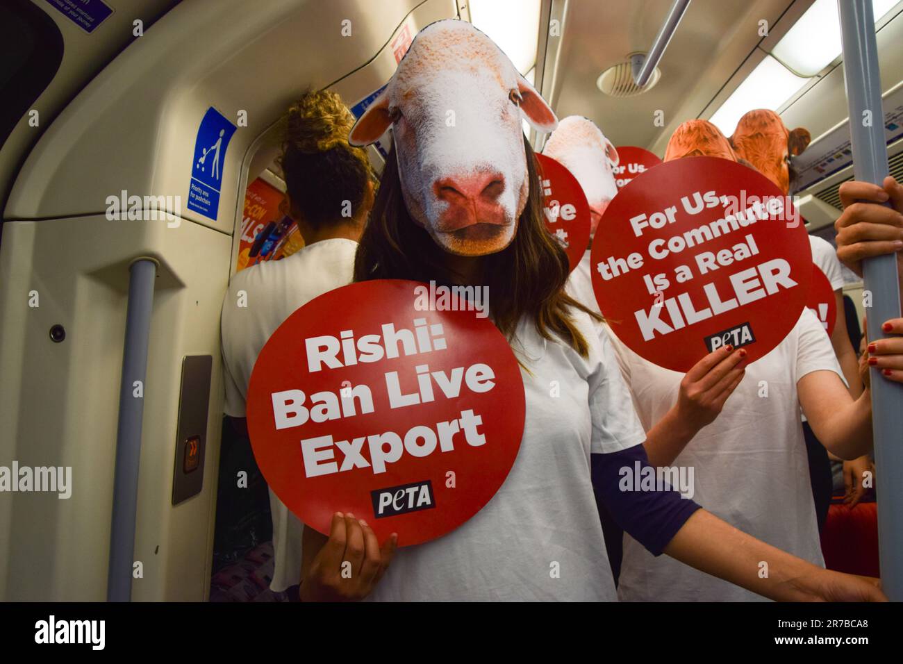 London, Großbritannien. 14. Juni 2023. PETA-Aktivisten (People for the Ethical Treatment of Animals, Menschen für die ethische Behandlung von Tieren), die Masken von Schafen und Kühen trugen und Anti-Live-Exportplakate hatten, haben in einem Londoner U-Bahn-Zug einen Protest durchgeführt, in dem sie forderten, dass die britische Regierung das Gesetz über gehaltene Tiere wieder einführt und die Ausfuhr lebender Kredit: SOPA Images Limited/Alamy Live News Stockfoto