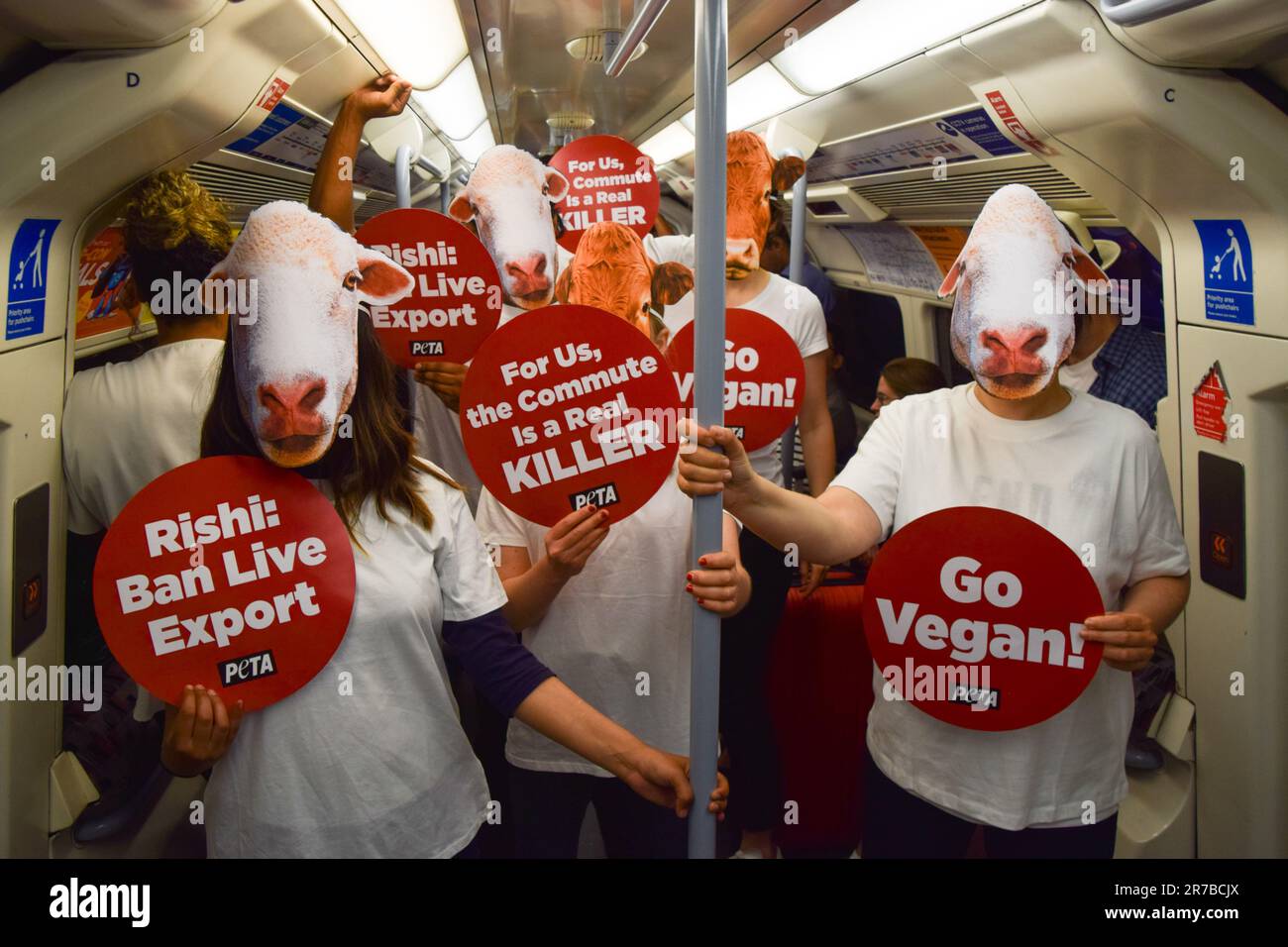 London, Großbritannien. 14. Juni 2023. PETA-Aktivisten (People for the Ethical Treatment of Animals), die Schaf- und Kuhmasken trugen und pro-vegane und Anti-Live-Exportplakate hielten, veranstalteten einen Protest in einem Londoner U-Bahn-Zug, in dem gefordert wurde, dass die britische Regierung das Gesetz über gehaltene Tiere wieder einführt und die Ausfuhr lebender Tiere verbietet. (Foto: Vuk Valcic/SOPA Images/Sipa USA) Guthaben: SIPA USA/Alamy Live News Stockfoto