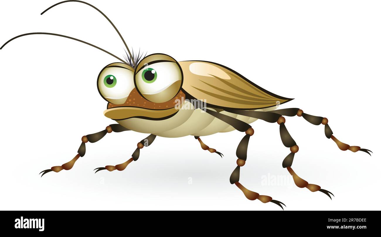 Cartoon-Käfer mit einem geheimnisvollen Blick. Abbildung auf weißem Hintergrund Stock Vektor