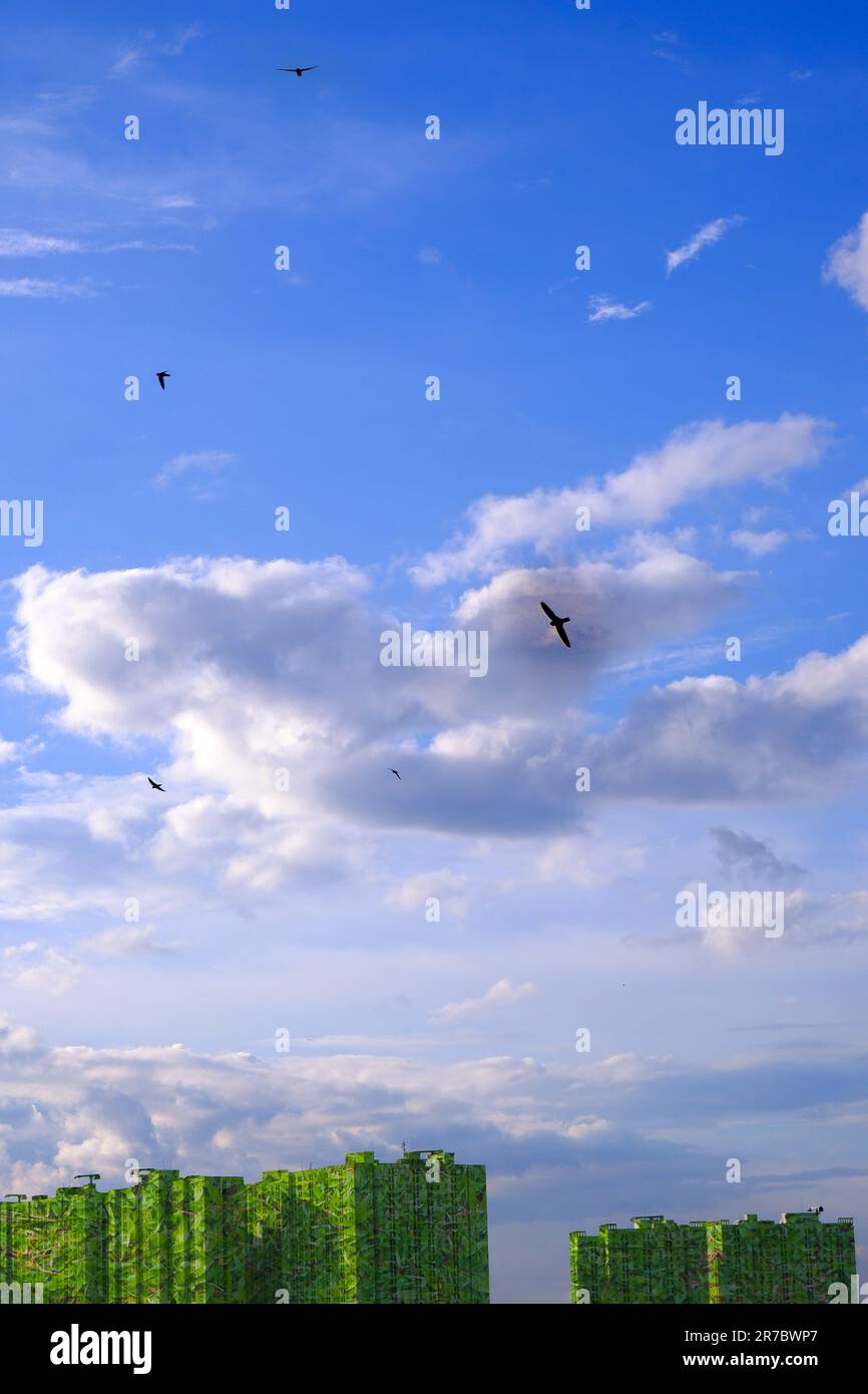 Grünstadt-Entwicklungskonzept mit blauem Himmel Stockfoto