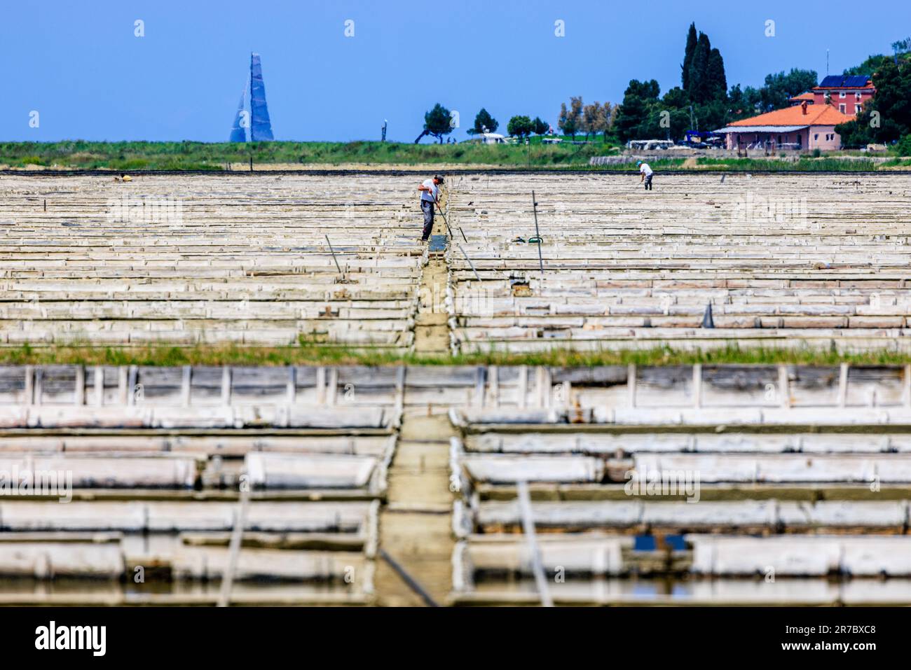 Blick auf die schmalen Wege und Deiche, die die Salinen von piran säumen, während Arbeiter alte Holzwerkzeuge verwenden, um die Pfannen und die petola Basis zu pflegen Stockfoto