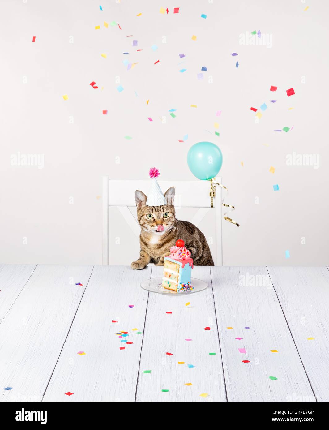 Hungrige Katze mit Geburtstagsmütze sitzt am Tisch und leckt seine Lippen, während sie auf ein Stück Kuchen mit Konfetti und Ballons wartet. Stockfoto